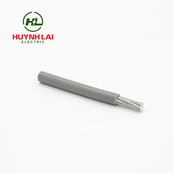 AV – Lion - ảnh phụ 3