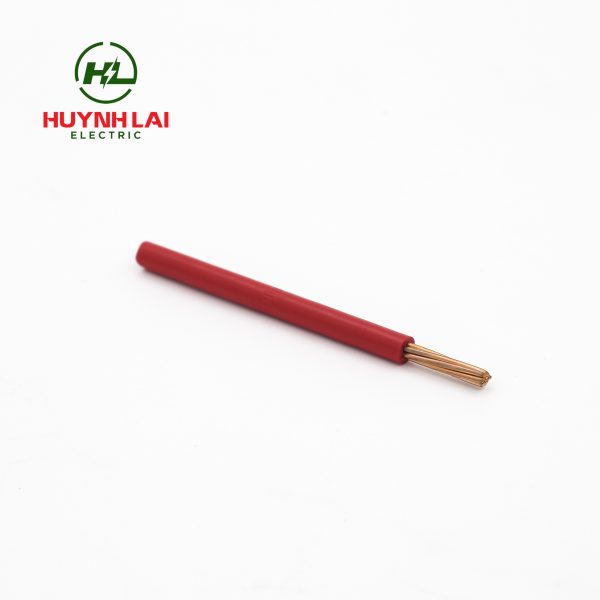 CV – Lion - ảnh phụ 3