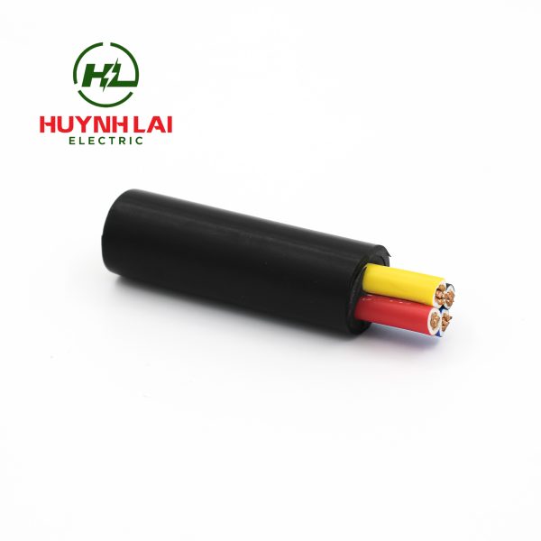 CVV – Lion - ảnh phụ 3