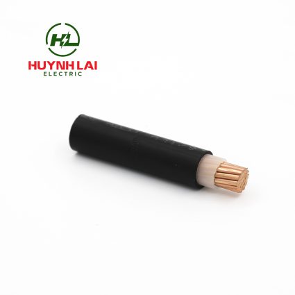 CXV – Lion - ảnh phụ 2