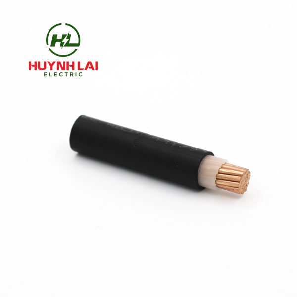 CXV – Lion - ảnh phụ 3