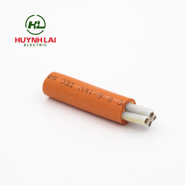 CXV/FR – Lion - ảnh phụ 3