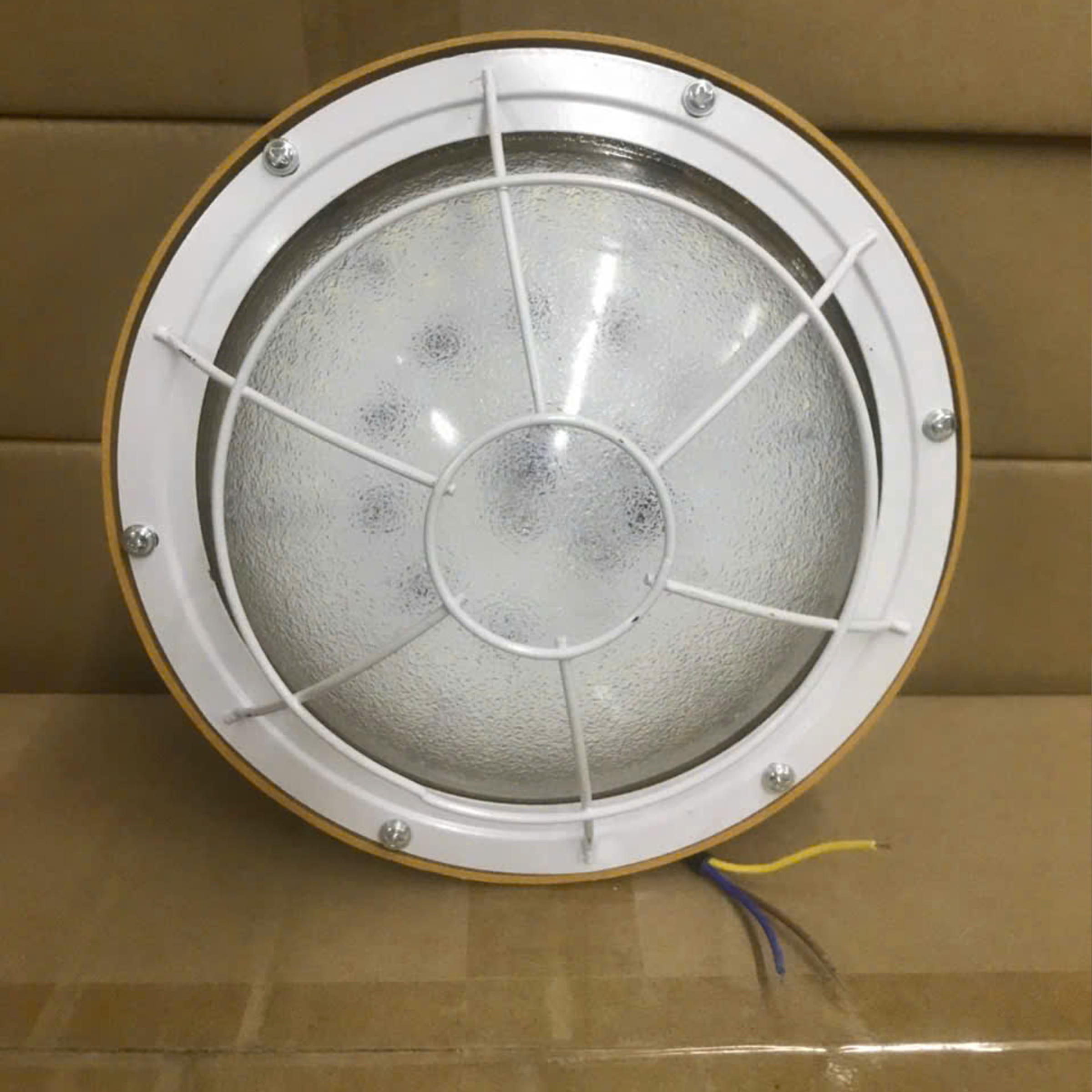 Đèn Chống Nổ 100W - ảnh phụ 4