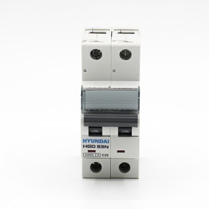 MCB HYUNDAI 2P ( HGD63N ) - ảnh phụ 2