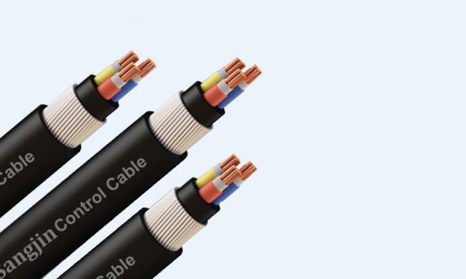 Cáp Điều Khiển Sangjin Không Lưới Loại 2