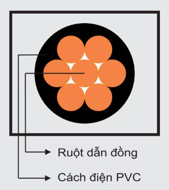 Dây CV – TTT
