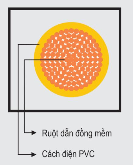 VCM -TTT