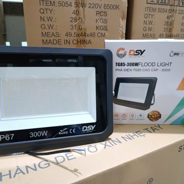 Đèn Pha Điện 300W DSY-TG128