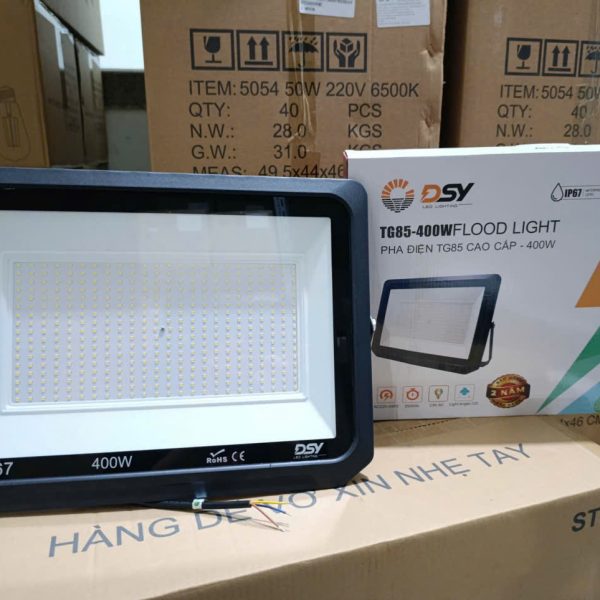 Đèn Pha Điện 400W DSY-TG128